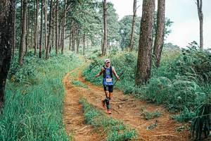 BIB: 
                            <button type="button" onclick="openModal(25658713)" class="btn btn-primary btn-sm float-right btn-popup" data-toggle="modal" data-target=".modal-high-quality">
                        <i class="fas fa-shopping-cart"></i> Add to Cart
                    </button>
                                            <button type="button" onclick="isThisMe(25658713, true)" class="btn btn-success btn-sm float-right btn-popup btn-isme hidden" data-toggle="tooltip" data-placement="bottom" title="นี่คือรูปของคุณใช่ไหม คลิกที่นี่เพื่อเอาเข้าอัลบั้ม">
                        <i class="fas fa-plus"></i> Add to album
                    </button>
                    <button type="button" onclick="isThisMe(25658713, false)" class="btn btn-warning btn-sm float-right btn-popup btn-isnotme hidden">
                        <i class="fas fa-ban"></i> Remove from album
                    </button>